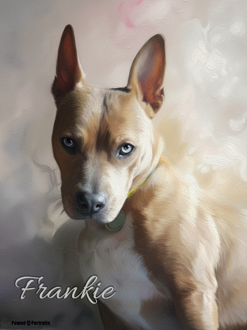 Step 3 – Review & Personalize your custom pet artwork