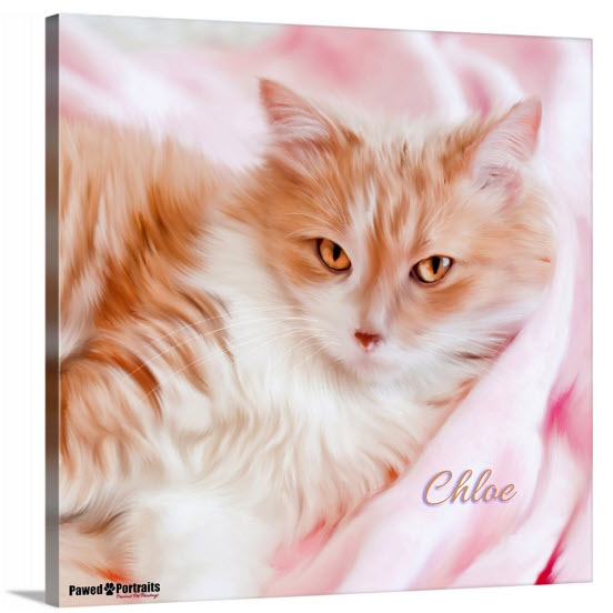 Chloe Original Standard