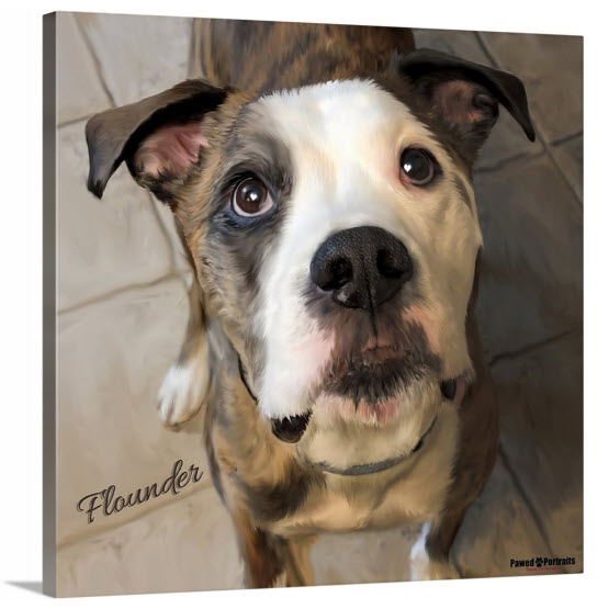 Original Design pet portrait